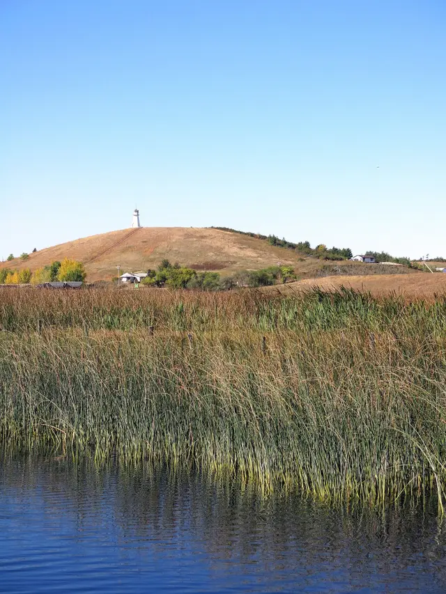 Reeds on Jackfish Lake with a hill and tower beyond